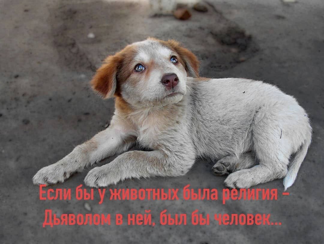 Пропал малыш, ,