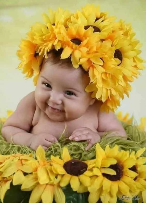 Цветы жизни