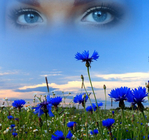 Всё проходит, и всё забывается...