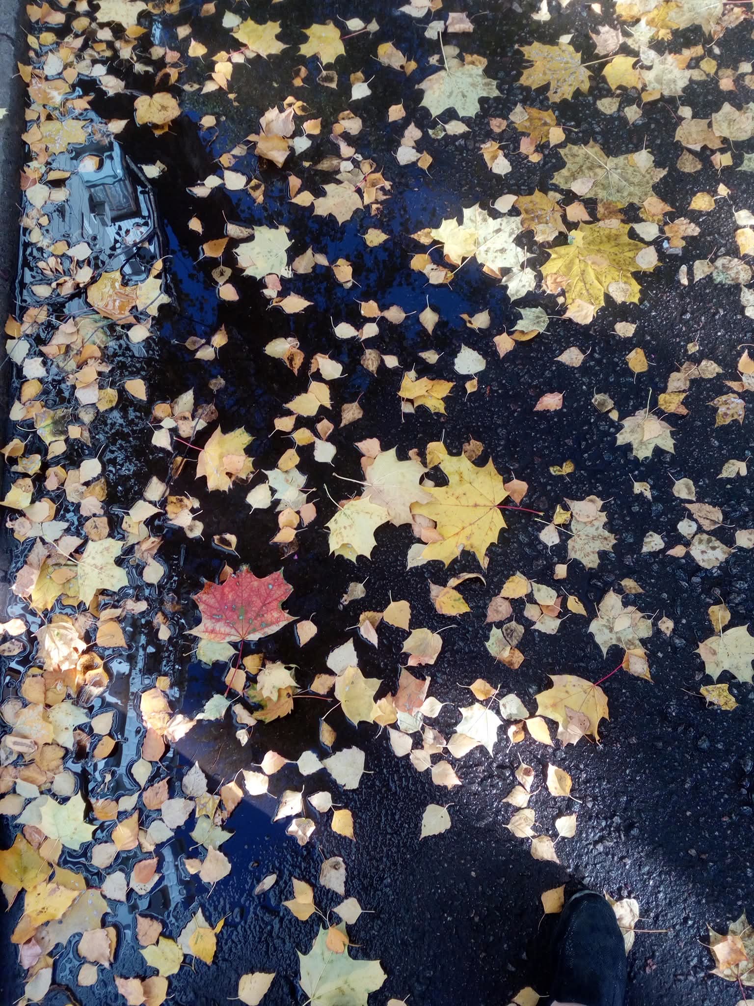 Пройден рубеж