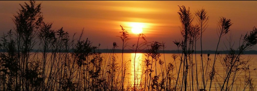 Мелодия забытого романса...