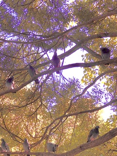 Осень жизни