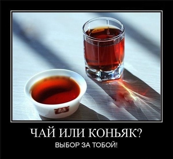 Гостеприимство. Анекдот. 2025г