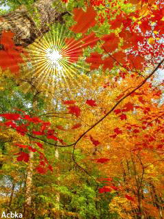 Поэзия зелёная