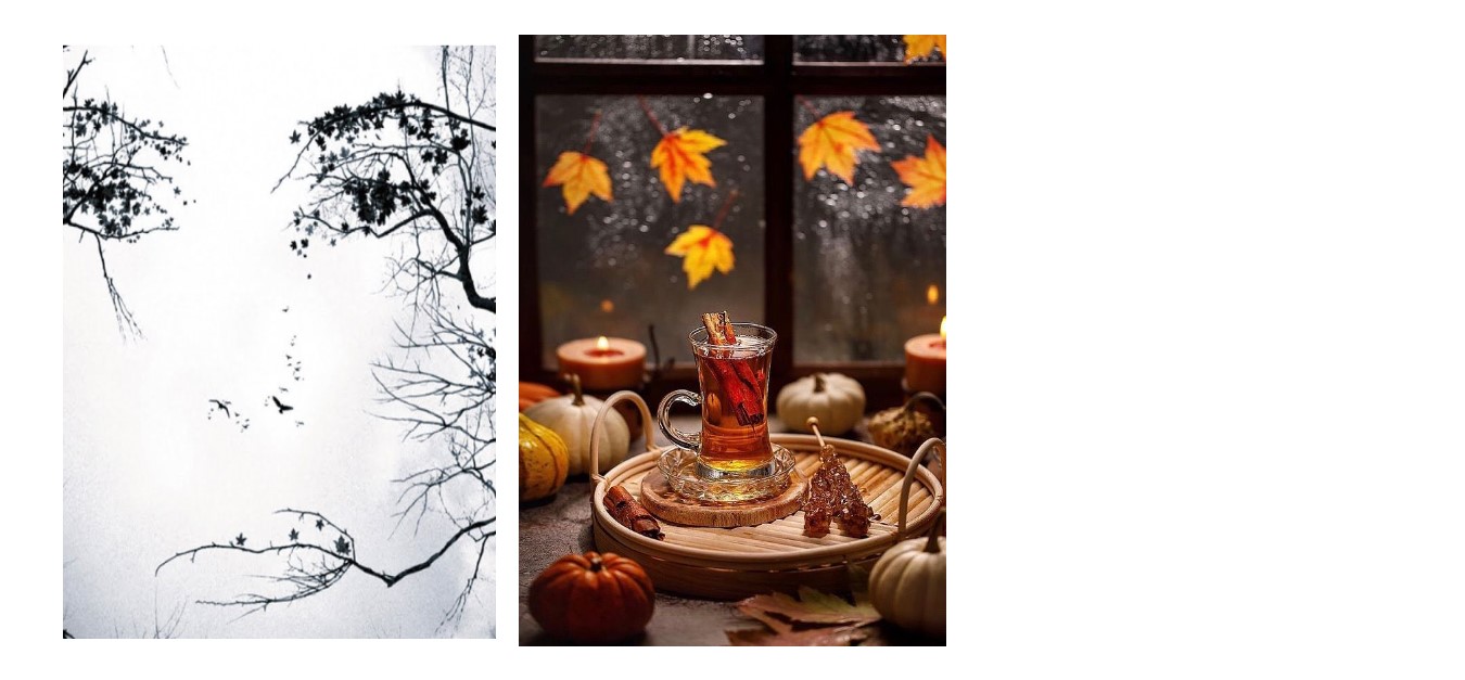 Сплошная графика, где столько междустрочий...