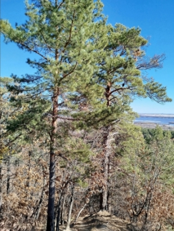 Уборка на Мухинке