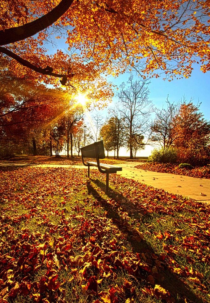 Вспышки зарева осеннего