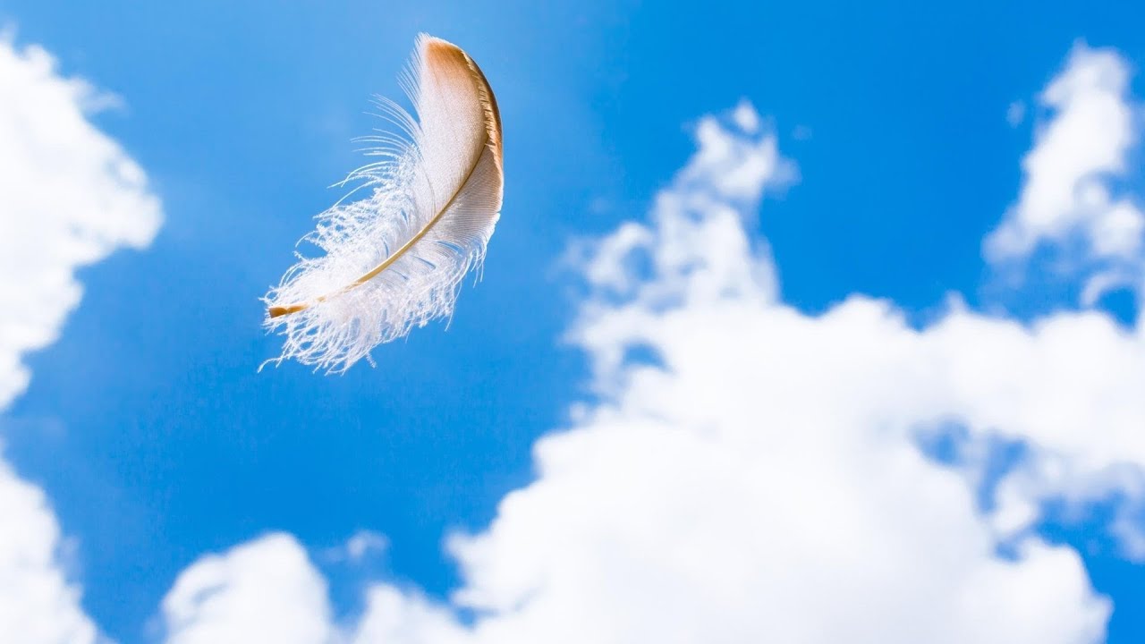 После зимы...