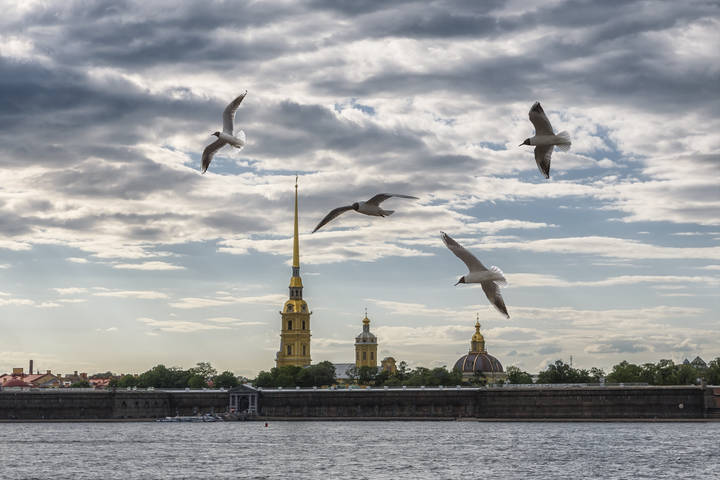 Полусон