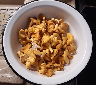 Лисички, 26. 09. 2025