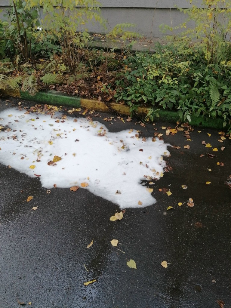 Шампуни для улиц - лапша для ушей