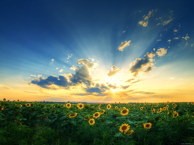 Ты есть Моё Утешение