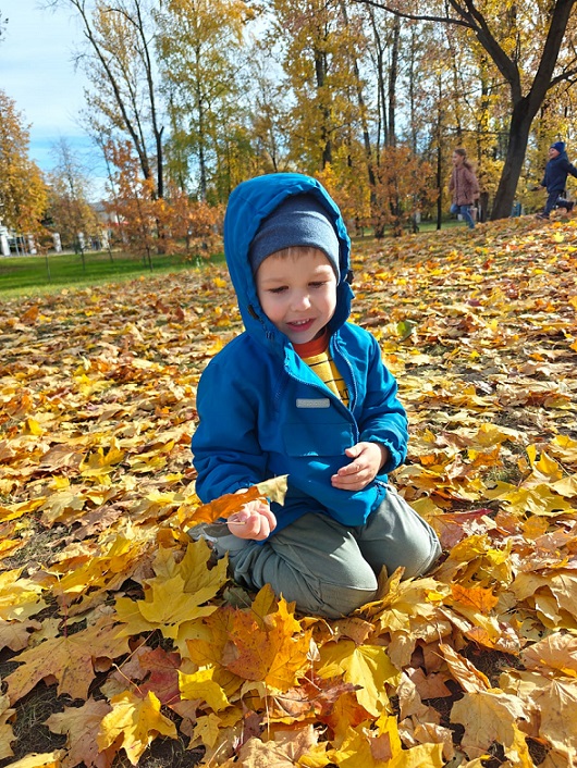 Осенняя картинка