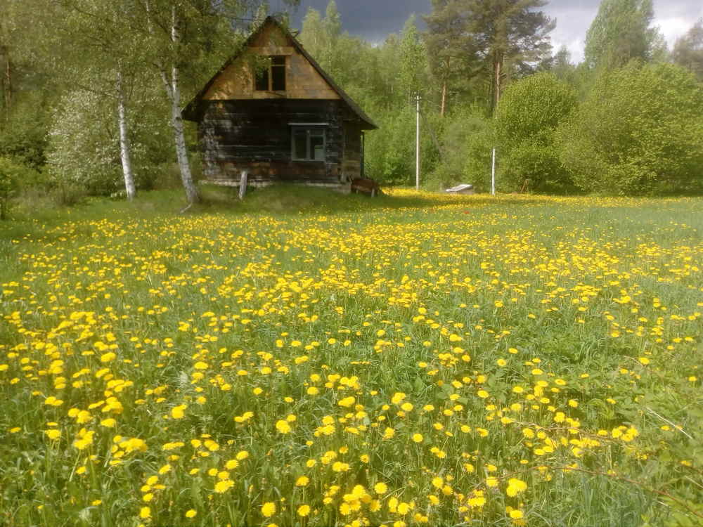 Гуляю по раю