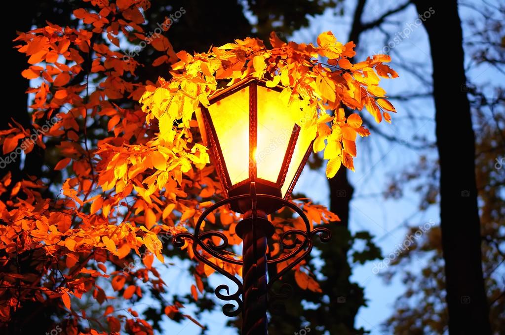 По улице осень бродила