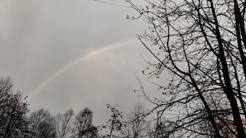 Возвращение в прошлое