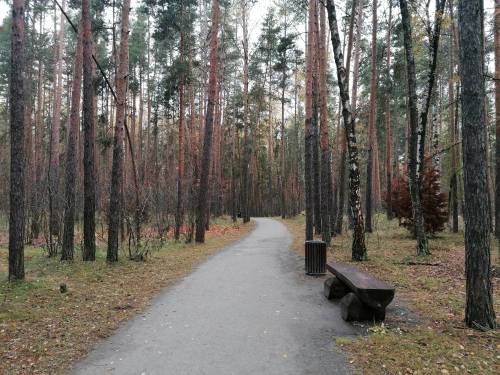 Осенние дни