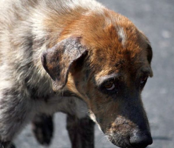 Эти глаза напротив