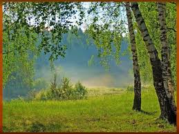 О любви к родному краю