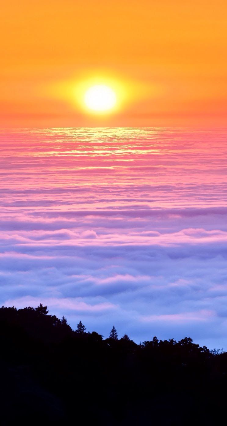 Дорога к рассвету