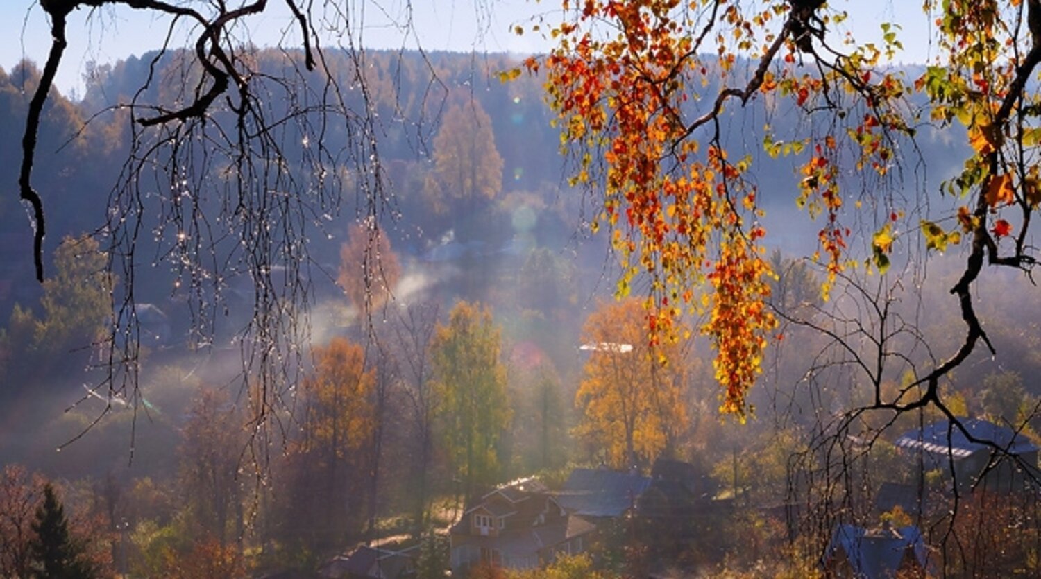 Холод осенний