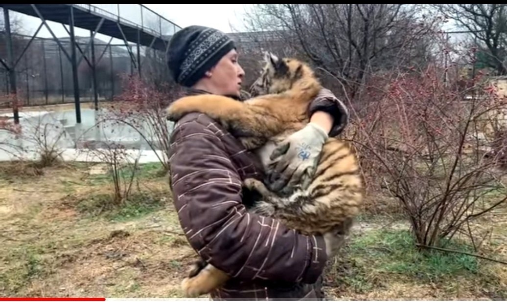 Мама Ляля так ее звали в парке Тайган