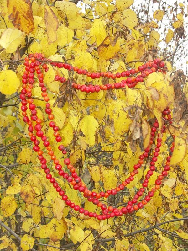 Подари мне, осень Стих по первой строке...