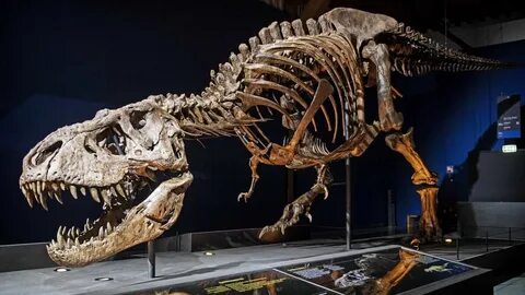 Доисторическая даль