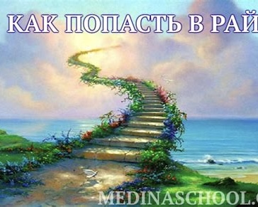 Блуждая в. алк. А