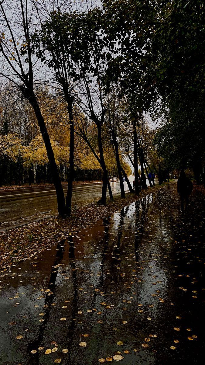 Навстречу Бабьему Лету