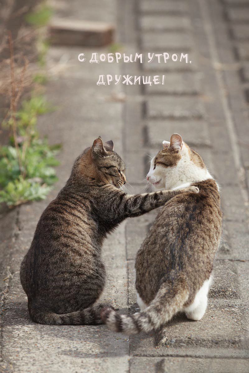 И снова с днём рождения