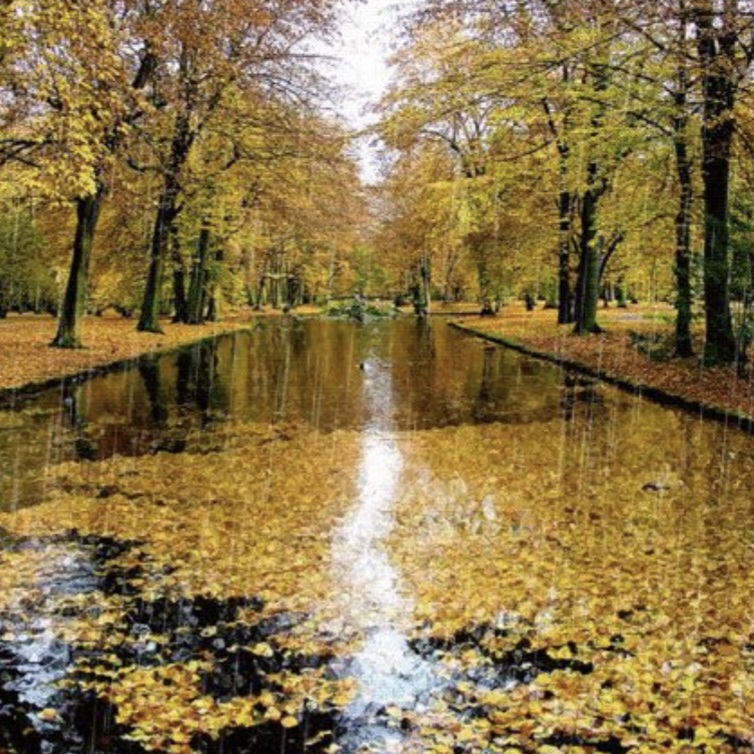 Октябрьский день