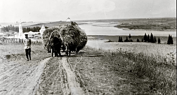 Закон жизни