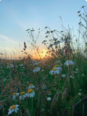 Другое время