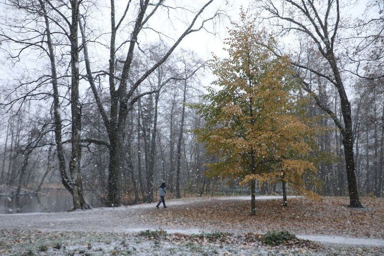 Первый снег...