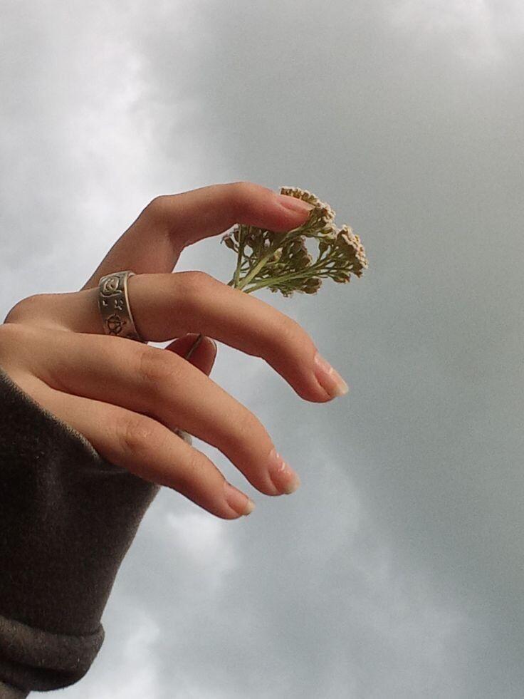 Умейте видеть чудо