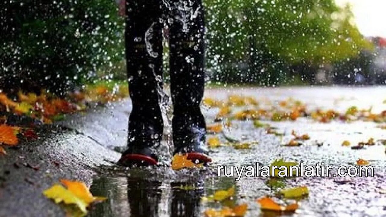 Крашевая осень