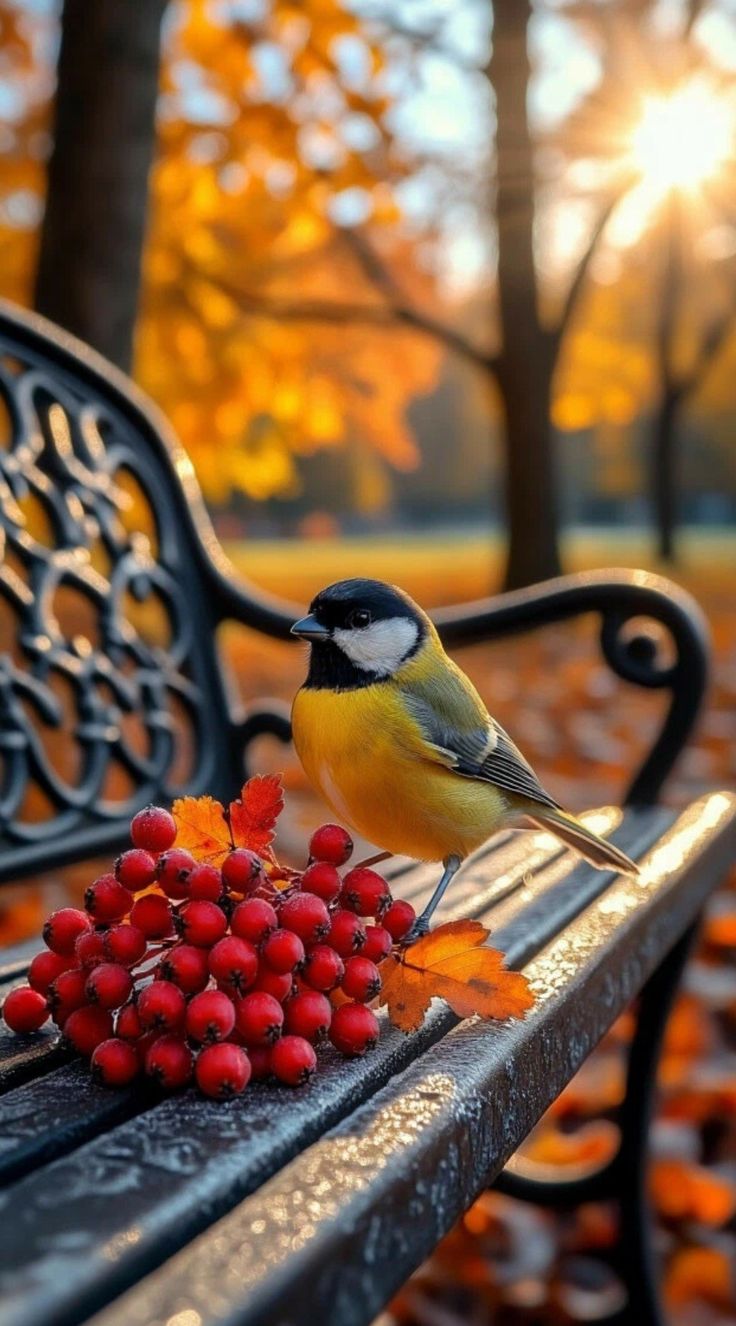 у боярышника кисти...