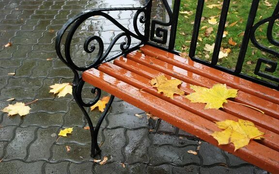 Скамейки в парке