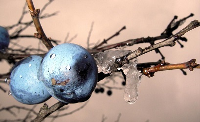 Добавленная строка