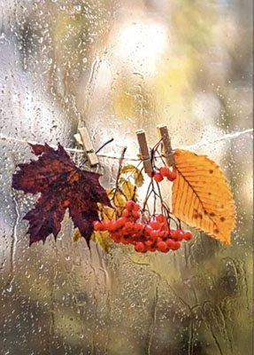 Они молили о пощаде...