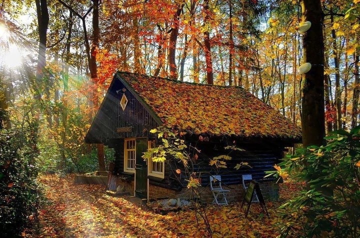 Осень всё приукрасит