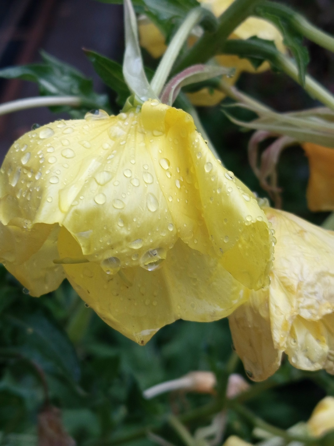 Вчера еще светило солнце