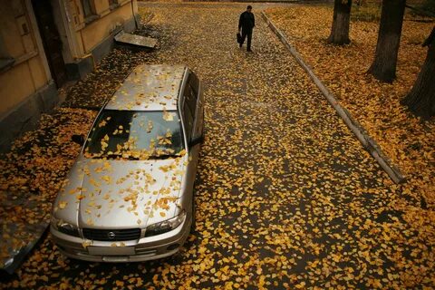 Проснитесь