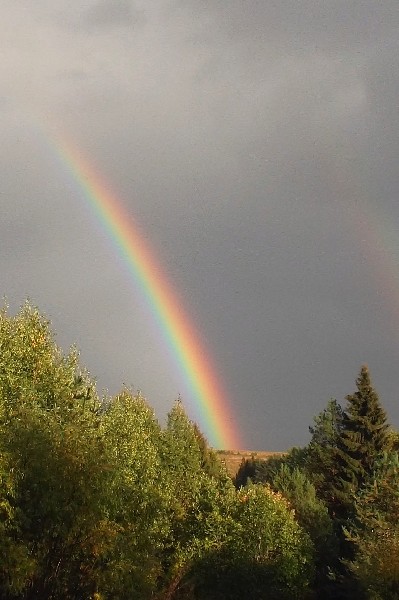 День ненастный на дворе...