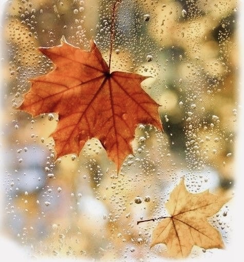 Ветер сонный в окно стучит