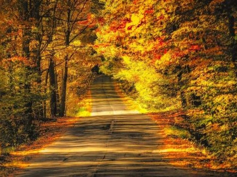 В сон уходит осень...