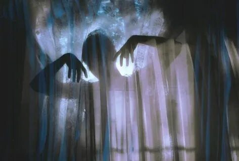 Мир за шторой