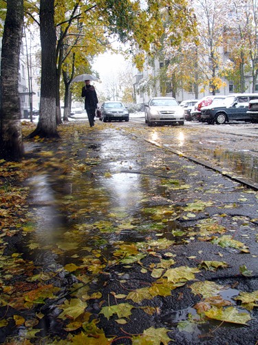 Дожди, дожди, дожди...