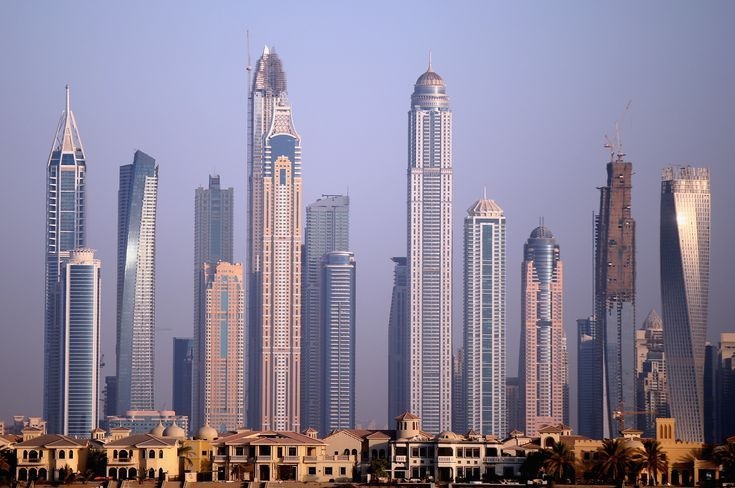 Среди бетонных джунглей